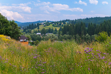 Fototapeta na wymiar Mountain valley with rural houses, summer flowering fields and green coniferous forests under a blue cloudy sky. place of rest and tourism