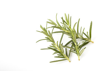 rosemary isolated on white background