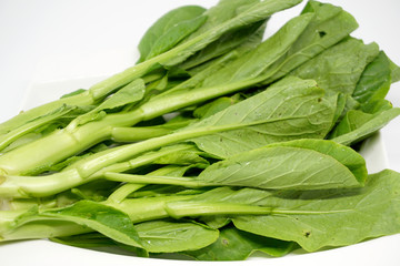 Fresh green mustard leaf over white background