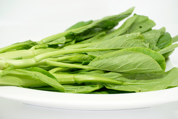 Fresh green mustard leaf over white background
