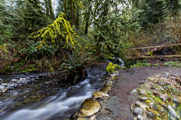 Stream in Flaming Geyser State Park, Washington