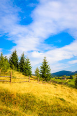 Summer mountains landscape