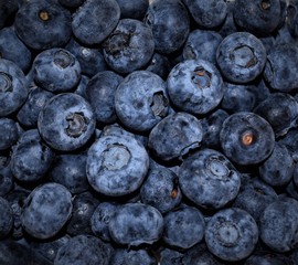 Blueberries