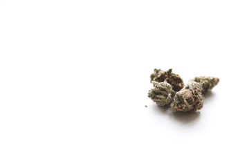 cannabis buds on white background