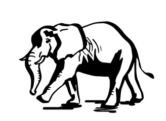 Elephant. Stylized line drawing