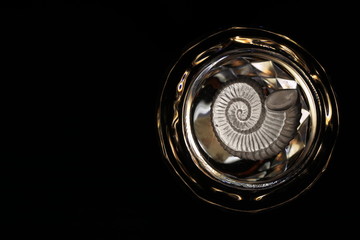 Close up shell pattern on glass cup