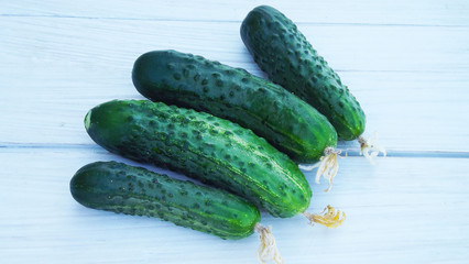 Fresh cucumbers from the garden on a wooden background.