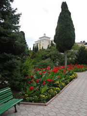 Park Alley with a bench, a flower bed with beautiful flowers and green trees