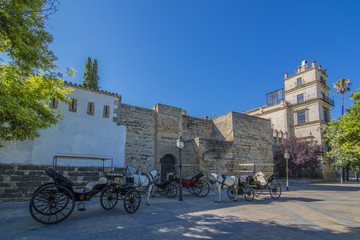 Naklejka na ściany i meble Carruajes de caballos frente al Alcazar de Jerez de la Frontera Cadiz 