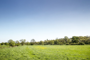 landscape of green fields