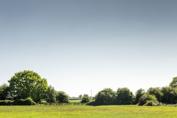 landscape of green fields