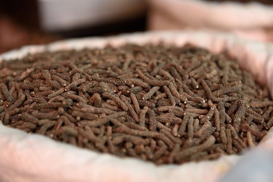 Close up side view of a basket of raw dried Indian long peppers, or Piper longum, spice market in Rajasthan, India