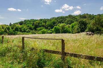 Fototapeta na wymiar Zebegény in Hungary 2018 summer green landscape