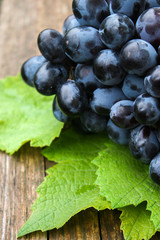 Blue grapes and bright grape leaves on an old wooden surface, close up.