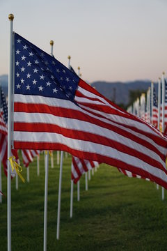 stars and stripes