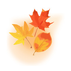 Herbstblätter