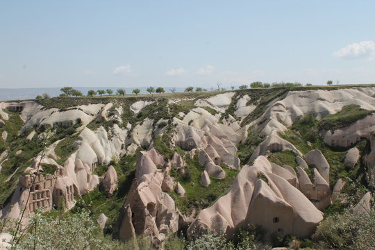 Landscape