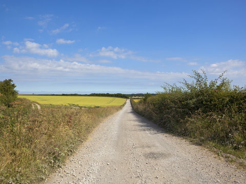 English countryside and limestone road