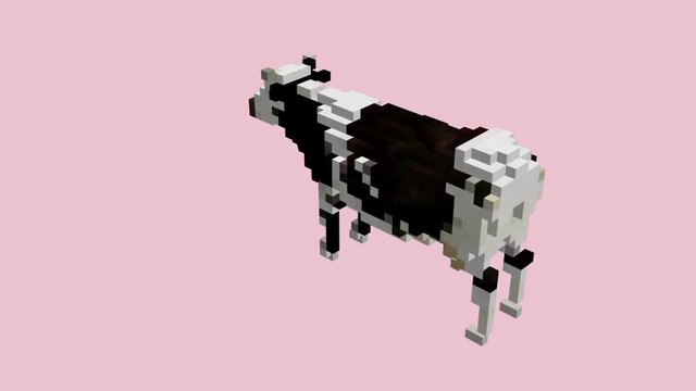 shape morphing - dynamic voxels 3D visualization