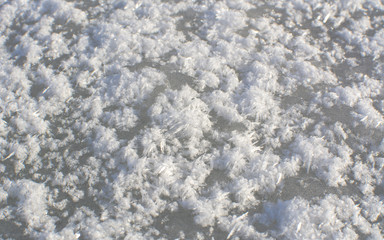 Snowflakes on the icy surface