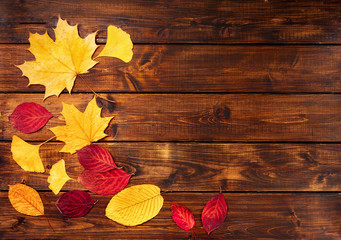 Colorful dry leaves on wooden background