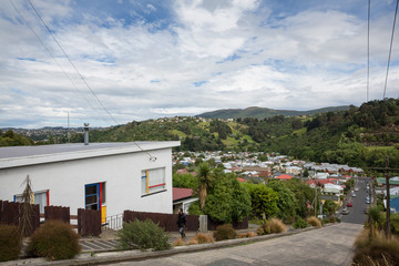 Fototapeta na wymiar Dunedin New Zealand December 30th 2014 : Looking down Baldwin street in Dunedin, classified as the worlds steepest street