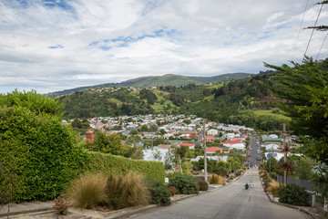Dunedin New Zealand December 30th 2014 : Signage for Baldwin street in Dunedin, classified as the worlds steepest street