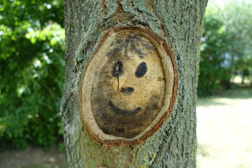 Baum mit fröhlichem Smiley in einem Astloch
