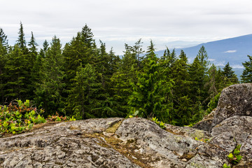 Fototapeta na wymiar View from Mount Gardner, Bowen Island, BC, Canada.