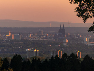 Naklejka premium Köln im Abendlicht