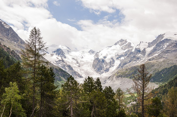 Fototapeta na wymiar Bernina, Piz Bernina, Val Bernina, Morteratsch, Gletscher, Gletscherweg, Gletscherrückgang, Berninapass, Alpen, Graubünden, Sommer, Schweiz