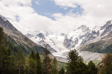 Fototapeta na wymiar Bernina, Morteratsch, Diavolezza, Gletscher, Val Bernina, Piz Bernina, Wanderweg, Gletscherweg, Oberengadin, Graubünden, Alpen, Berninapass, Sommer, Schweiz