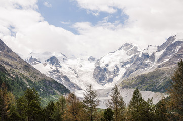 Fototapeta na wymiar Bernina, Morteratsch, Gletscher, Gletscherweg, Piz Bernina, Val Bernina, Berninapass, Diavolezza, Oberengadin, Engadin, Graubünden, Sommer, Schweiz