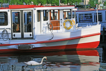 Alsterpaar © hbw_images