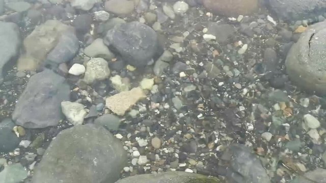 &Aacute;gua calma e transparente