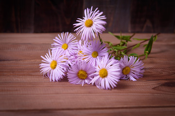 Obraz premium Chamomile with lilac petals on a wooden table
