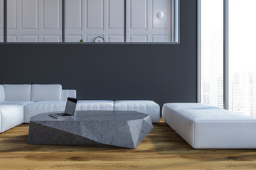 Gray loft living room interior, white sofa
