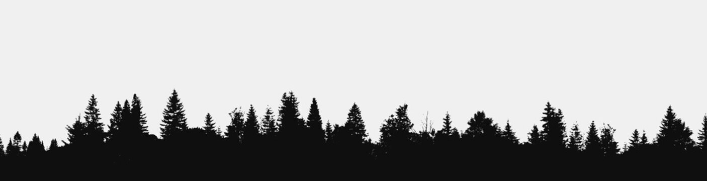 View to panorama of realistic forest silhouette.Vector nature design