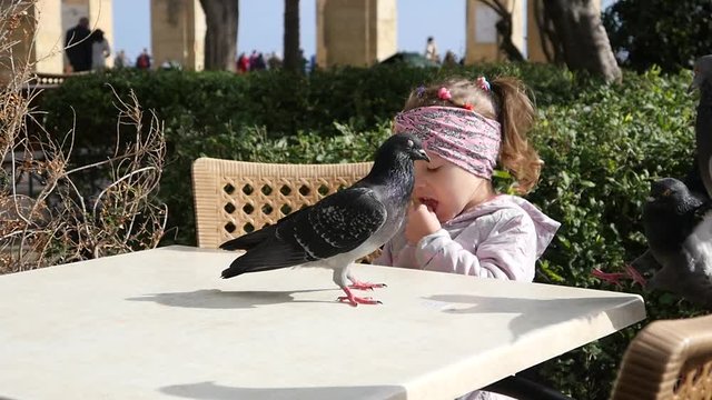 Valletta, Malta - Kid girl feeding street birds pigeons on a cafe table slow motion