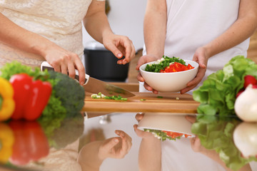 Closeup of human hands cooking in kitchen. Mother and daughter or two female friends cutting vegetables for fresh salad. Healthy meal, vegetarian food and lifestyle concepts