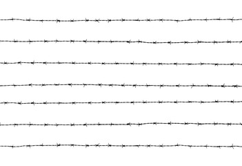 silhouette of the barbed wire on white background
