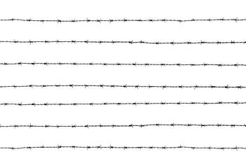 silhouette of the barbed wire on white background