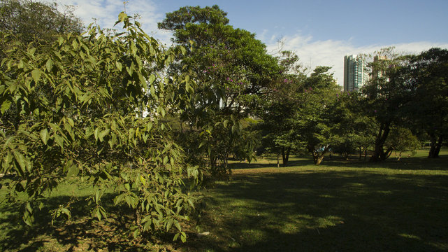 Parque Ceret 