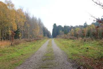 Obraz premium IMG_0324.JPG