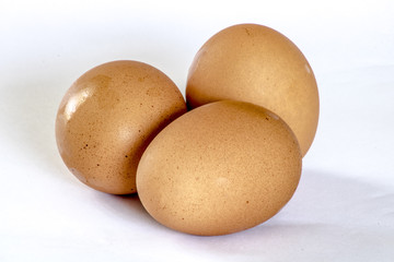 Organic Egg Isolated on White