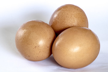 Organic Egg Isolated on White