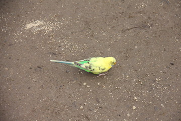 IMG_0400.JPG