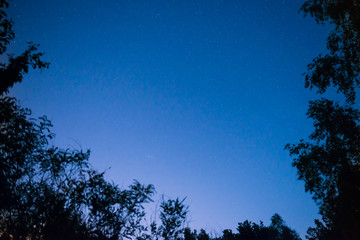 Sunset and night dark blue sky in forest