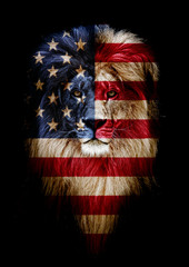 Portrait of a Beautiful lion, lion in dark. Portrait of a leader. king. Portrait of a lion with a projection of the flag of the United States