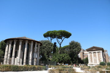 Obraz premium Tempel of Portunus and Temple of Hercules Victor in Rome, Italy